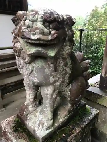 白髭神社の狛犬