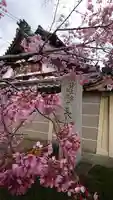 長徳寺(京都府)