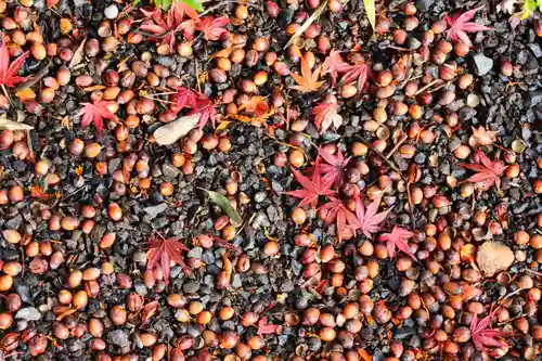 豊景神社(福島県)