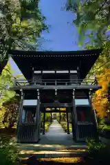 高台寺の山門