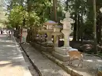 春日大社のその他建物