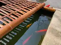 日尾八幡神社(愛媛県)