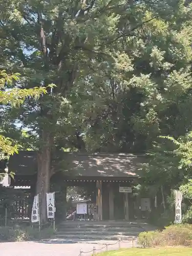 阿佐ヶ谷神明宮(東京都)