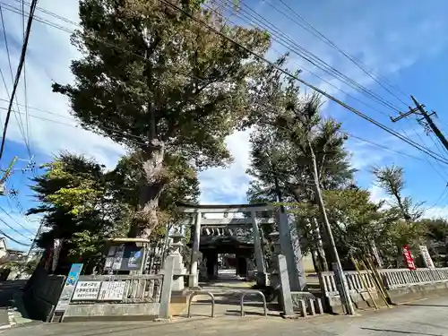 小野神社(東京都)