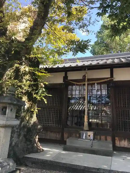 素戔嗚神社(大神神社境外末社)の本殿・本堂