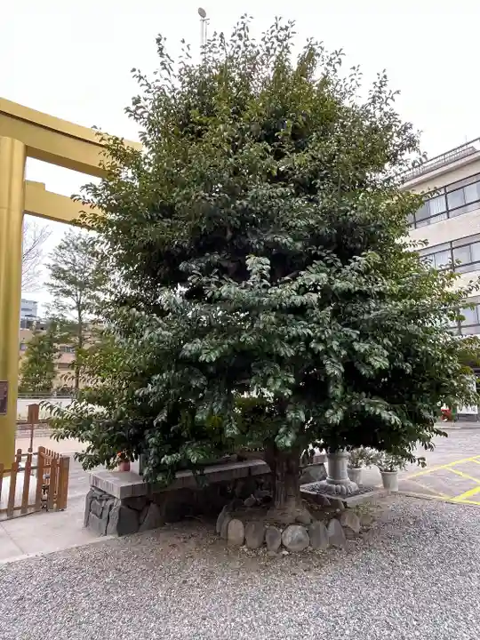 金神社(岐阜県)