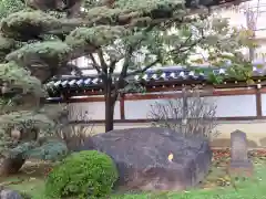 感通寺の建物その他