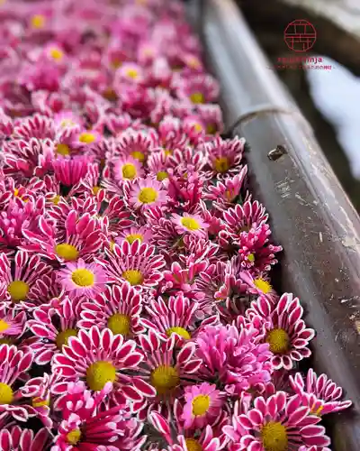 立志神社(滋賀県)