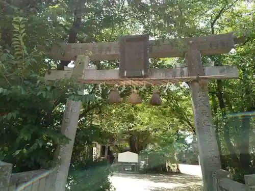 鴨島八幡神社(徳島県)