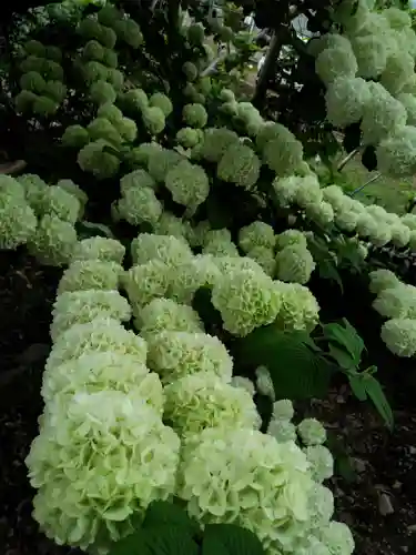 甲斐奈神社の自然