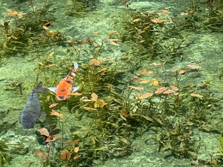 根道神社(岐阜県)