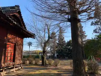 大国主神社のその他建物