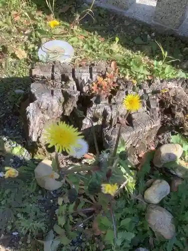 青衾神社（熱田神宮摂社）の庭園