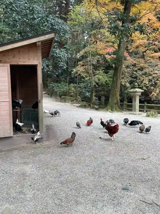 石上神宮(奈良県)