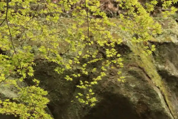 立鉾鹿島神社の自然