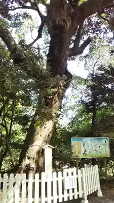 賀茂神社の自然