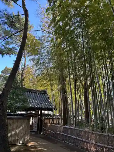 妙福寺の{uncategorized: "未分類", other: "その他", undefined: "問題あり", building: "その他建物", grave: "お墓", sacred_gate: "鳥居", guardian: "狛犬", statue: "像", buddha: "仏像", history: "歴史", nature: "自然", garden: "庭園", animal: "動物", pagoda: "塔", temizu: "手水舎", mountain_gate: "山門・神門", sanctuary: "本殿・本堂", subordinate: "末社・摂社", art: "芸術", scenery: "景色", jizo: "地蔵", ema: "絵馬", goshuin: "御朱印", omikuji: "おみくじ", items: "授与品その他", amulet: "お守り", goshuincho: "御朱印帳", eats: "食事", festival: "お祭り", votive_dance: "神楽", shichigosan: "七五三参", wedding: "結婚式", experience: "体験その他", initially: "初詣", around: "周辺", anti_infection: "感染症対策"}