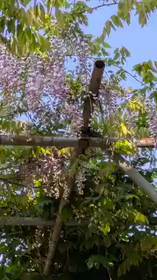 桜山天満宮(京都府)