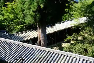 長谷寺のその他建物