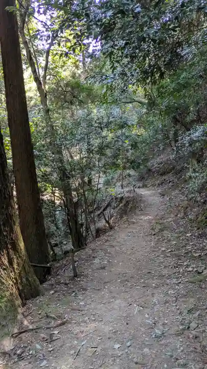醍醐寺(上醍醐)の周辺