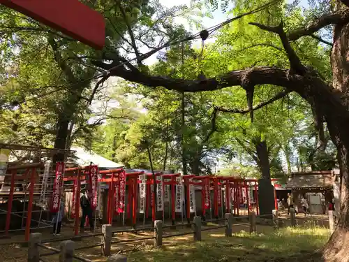 鬼子母神堂　(法明寺）の鳥居