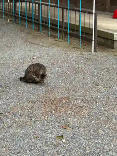 妻沼聖天山歓喜院の動物