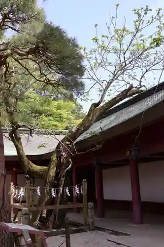 笠間稲荷神社(茨城県)