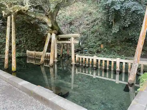 鹿島神宮の鳥居