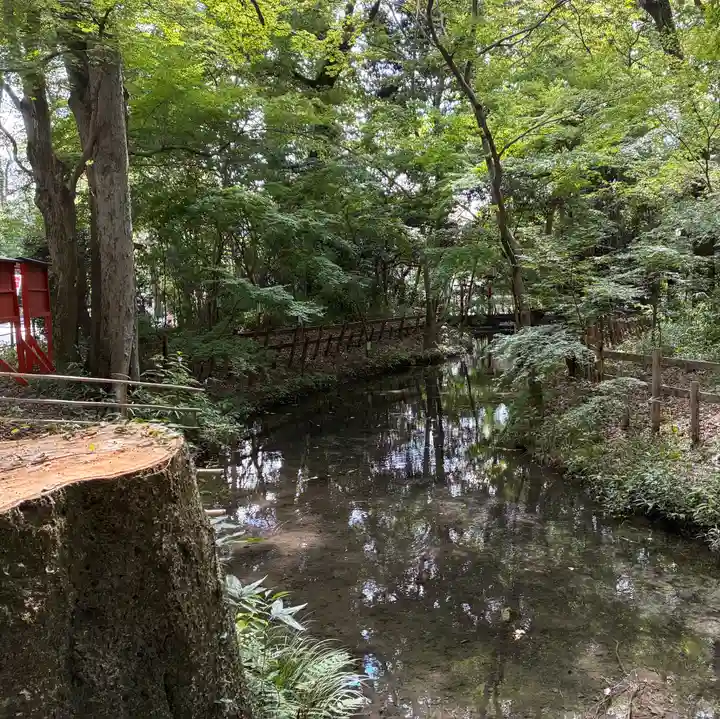 河合神社(鴨川合坐小社宅神社)の庭園