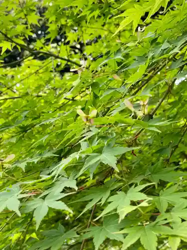 城南宮(京都府)