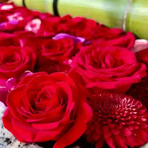 富岡八幡宮(東京都)