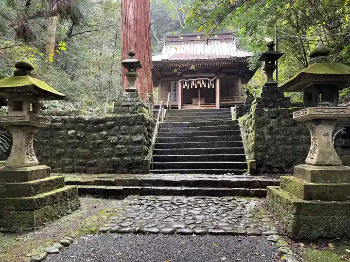 八幡宮來宮神社の本殿・本堂
