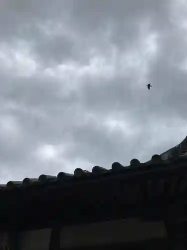 浄土寺(兵庫県)