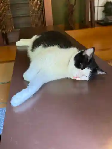 文殊院(東京都)