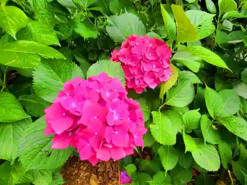 千光寺(福岡県)