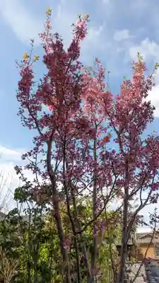 本昌寺(京都府)