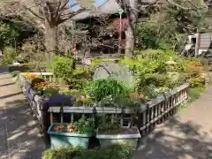 薬王寺(神奈川県)