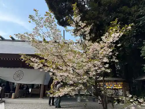 阿佐ヶ谷神明宮(東京都)