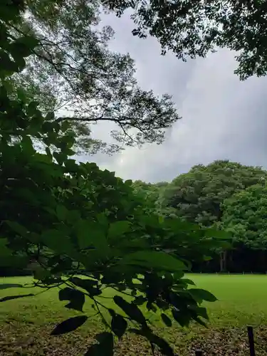 明治神宮の自然