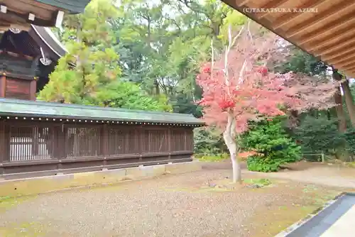 武蔵一宮氷川神社(埼玉県)
