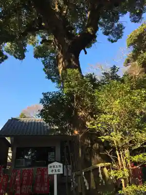八雲神社（鎌倉・大町）のその他建物