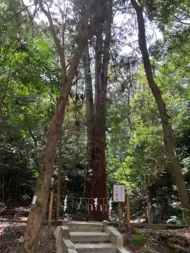 星田妙見宮の自然