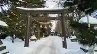 信濃神社の鳥居