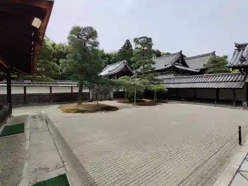 御寺 泉涌寺の庭園