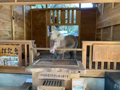 平塚八幡宮(神奈川県)