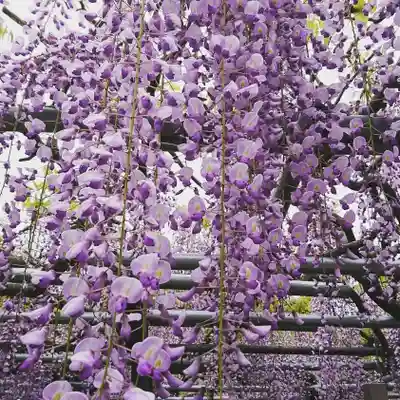 大澤山　龍藏寺の庭園