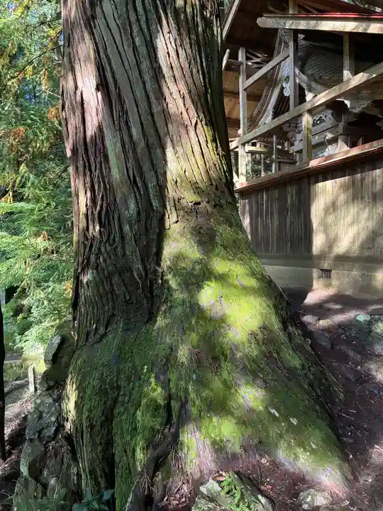 古殿八幡神社(福島県)