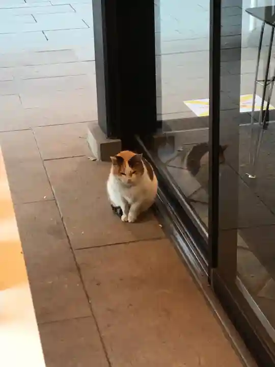 愛宕神社(東京都)