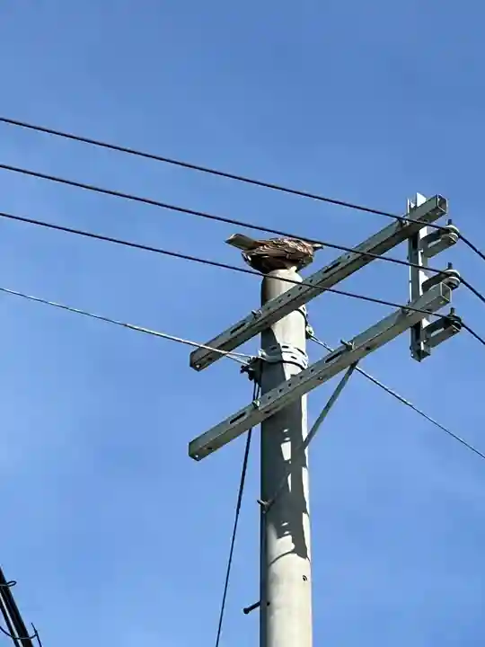 上田八幡神社(兵庫県)