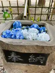 武甕槌神社(岩手県)